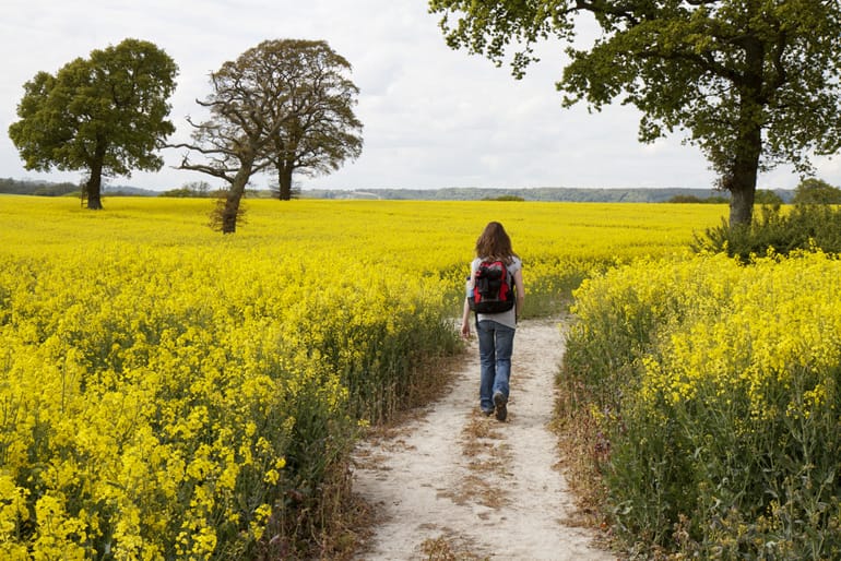 South Downs Way.jpg